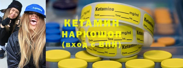 стаф Магас