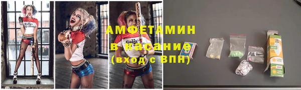 стаф Магас