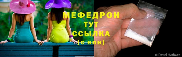 стаф Магас