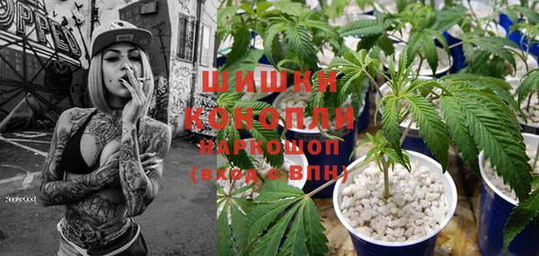 стаф Магас